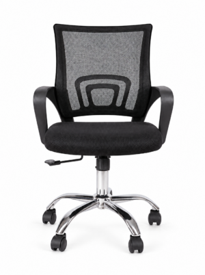 Ecochair Deluxe