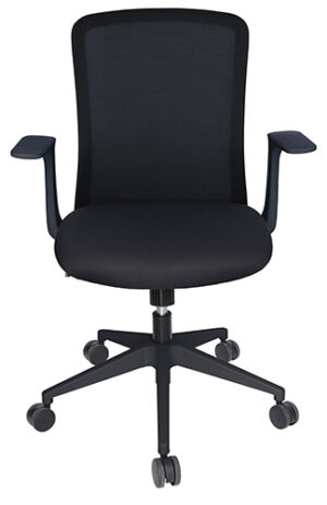 Mouse OHE-84 Negro