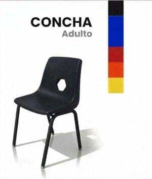 Concha Adulto