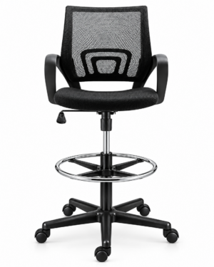 Ecochair Aro Cromado